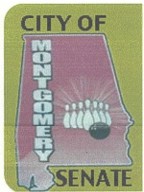 Montgomery TNBA Senate logo
